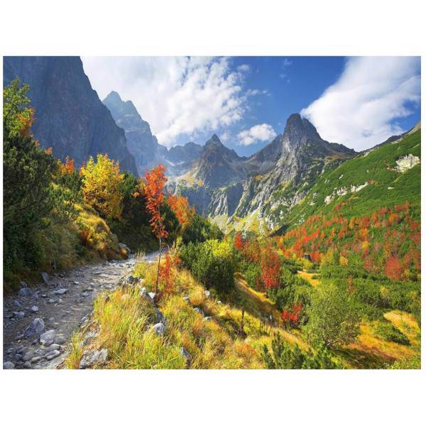 تابلو شاسی مِسترچاپ کد 1018