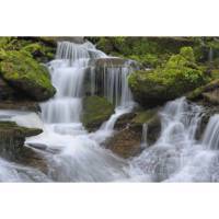 کاغذ دیواری 4 تکه 1وال مدل WATERFALL-001 1Wall WATERFALL-001 Wallpaper Giant