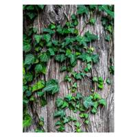 تابلو گالری مارکت لند کد M115