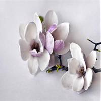 پوستر دیواری سه بعدی لوتوس مدل LW101