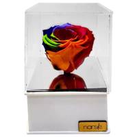 گل رز جاودان گالری نارسیس کد N106