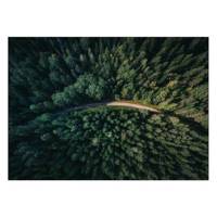 تابلو شاسی ونسونی طرح Jungle Road سایز 50x70 سانتی متر Wensoni Jungle Road Chassis Size 50 x 70 Cm