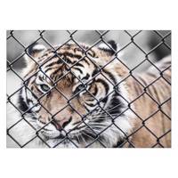 تابلو شاسی ونسونی طرح Tiger In Cage سایز 30x40 سانتی متر Wensoni Tiger In Cage Chassis 40 x 30