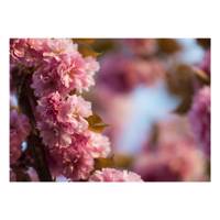 تابلو گالری مارکت لند کد M110