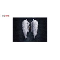 تابلو شاسی ونسونی طرح Angel Wings سایز 50 × 70 Wensoni Angel Wings Chassis Size 50 x 70