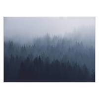 تابلو شاسی ونسونی طرح Heavy Clouds of Woods سایز 70 × 50 سانتی متر Wensoni Heavy Clouds of Woods Chassis Size 50 x 70 Cm