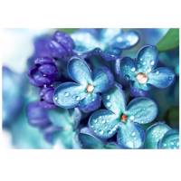 تابلو شاسی نوآوران کد SH6 Noavaran SH6 Tableau