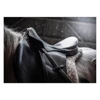 تابلو شاسی ونسونی طرح Horse Saddle سایز 50x70 سانتی متر Wensoni Horse Saddle Chassis Size 50 x 70 Cm