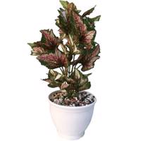 گلدان به همراه گل مصنوعی کارا مدل 12018 Kara 12018 Flower And Pot