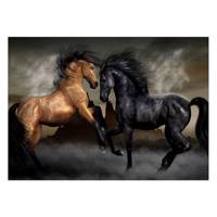 تابلو شاسی ونسونی طرح Cranberries Of Horses سایز 50 × 70 Wensoni Cranberries Of Horses Chassis Size 70 x 50