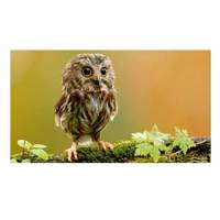 تابلو شاسی نقره ترمه مدل A23