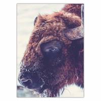 تابلو شاسی ونسونی طرح Buffalo سایز 50 × 70 سانتی متر Wensoni Buffalo Chassis Size 50 x 70 Cm