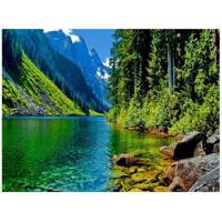 تابلو شاسی مِسترچاپ کد 1019