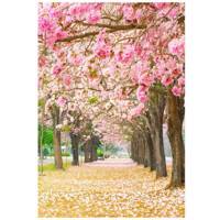 تابلو شاسی نوآوران کد SH4 Noavaran SH4 Tableau