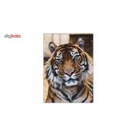 تابلو شاسی ونسونی طرح Tiger Notable Look سایز 30x40 سانتی متر Wensoni Tiger Notable Look Chassis 40 x 30