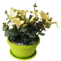 گلدان گل برتاریو مدل White Calla Lily Bertario White Calla Lily Flower Vase