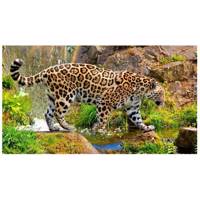 تابلو شاسی نقره ترمه مدل A14