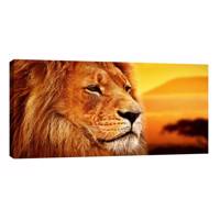 تابلو بوم آیریس طرح شیر افریقایی کد Iris0018