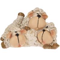 قلک مدل Three Sheeps Three Sheeps Money Box