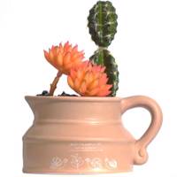 گلدان به همراه گل مصنوعی آناترا مدل Cactus 01