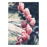 تابلو شاسی گالری مارکت لند کد M101