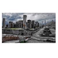 تابلو شاسی نقره ترمه مدل A21