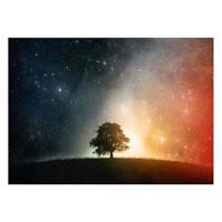 تابلو شاسی ونسونی طرح Art of Sunset سایز 50 × 70 سانتی متر Wensoni Art of Sunset Chassis Size 50 x 70 Cm
