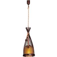 چراغ آویز دارکار مدل الینا تک شعله کد 80 Darkar 80 One Branch Elina Hanging Lamp