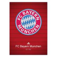 تابلوی ونسونی طرح Bayern Munchen 2016 سایز 30x40 Wensoni Bayern Munchen 2016 Chassis 30x40