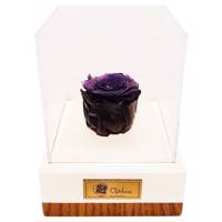 جعبه گل ماندگار گیتی باکس مدل رز جاودان مشکی افرا Gitibox Afra Black Preserved Rose Flower Box