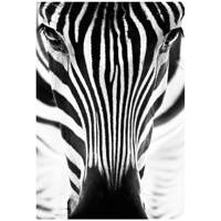 تابلو شاسی نوآوران کد SH50 Noavaran SH50 Tableau