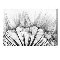 تابلو شاسی آفتاب مدل Bar103 سایز 40x60