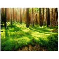 تابلو شاسی مِسترچاپ کد 1026