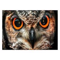تابلو شاسی ونسونی طرح Owl Art سایز 50x70 سانتی متر Wensoni Owl Art Chassis Size 50 x 70 Cm