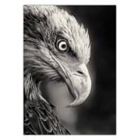 تابلو شاسی ونسونی طرح Blacked Eagle سایز 50 × 70 سانتی متر Wensoni Blacked Eagle Chassis Size 50 x 70 Cm