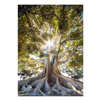 تابلو گالری مارکت لند کد M107