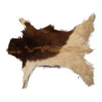 فرش پوست طبیعی کمالی مدل AC-00017