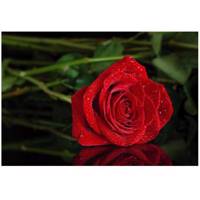 تابلو شاسی نوآوران کد SH2 Noavaran SH2 Tableau