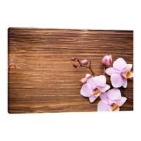 تابلو بوم آیریس کد Iris0039 طرح ارکیده