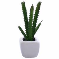 گلدان به همراه گل مصنوعی رایدین مدل کاکتوسR11 Raydin Cactus R11 Flower Vase