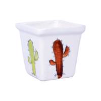 گلدان سرامیکی ژینورا طرح C1 مدل کاکتوس سایز کوچک Gynura C1 Cactus Ceramic Flower Pot Size Small