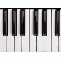 کاغذ دیواری 4 تکه 1وال مدل Piano-001 1Wall Piano-001 Wallpaper Giant