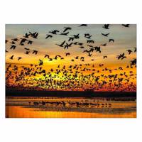 تابلو شاسی ونسونی طرح Birds سایز 50 × 70 سانتی متر Wensoni Birds Chassis Size 50 x 70 Cm