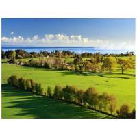 تابلو شاسی مِسترچاپ کد 1028