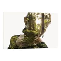 تابلو بوم آیریس کد Iris0055