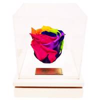 جعبه گل ماندگار گیتی باکس مدل رز جاودان 7 رنگ بالسا Gitibox Balsa 7 Color Preserved Rose Flower Box