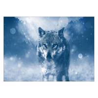 تابلو شاسی ونسونی طرح Dire Wolf سایز 50 × 70 سانتی متر Wensoni Dire Wolf Chassis Size 50 x 70 Cm