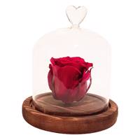 جعبه گل ماندگار گیتی باکس مدل رز جاودان قرمز تیره مینا Gitibox Mina Dark Red Preserved Rose Flower Box