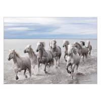 تابلو شاسی ونسونی طرح Horses At The Sea سایز 50x70 سانتی متر Wensoni Horses At The Sea Chassis Size 50 x 70 Cm