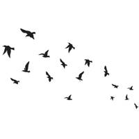 استیکر سالسو طرح Birds in sky - Salso Birds in sky Sticker